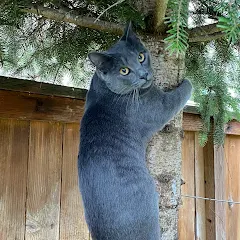 User avatar for Vitaliy B.