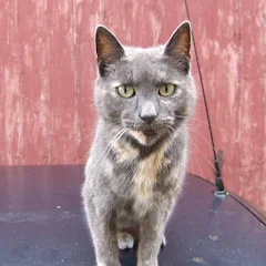 User avatar for Stan S.